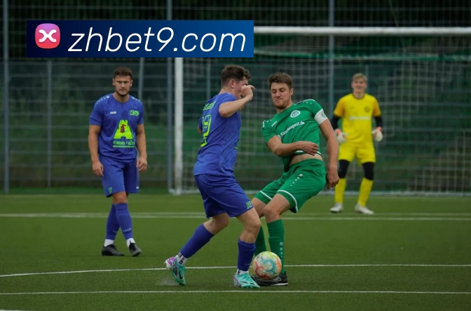 尊皇国际官网平台生态图