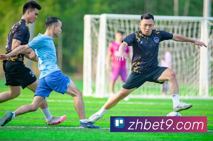 尊皇国际官网全站App